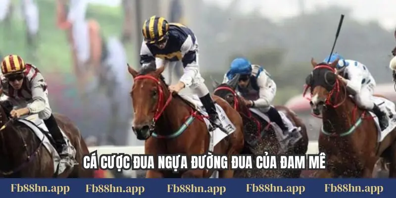 Cá cược đua ngựa đường đua của đam mê