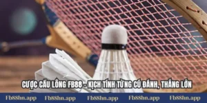 Cược Cầu Lông Fb88 - Kịch Tính Từng Cú Đánh, Thắng Lớn