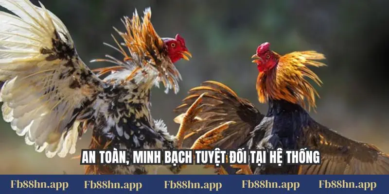 An toàn, minh bạch tuyệt đối tại hệ thống