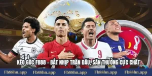 Kèo Góc Fb88 - Bắt Nhịp Trận Đấu, Săn Thưởng Cực Chất