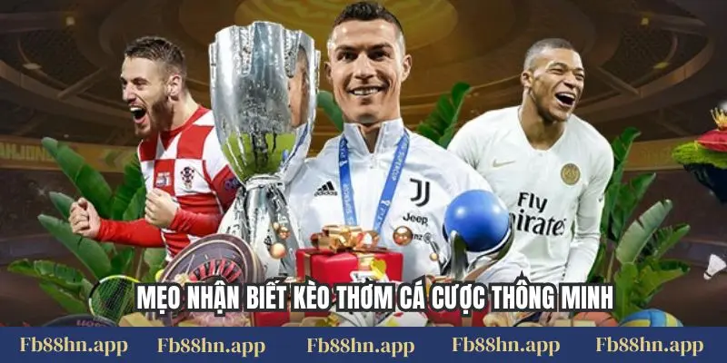 Mẹo nhận biết kèo thơm cá cược thông minh