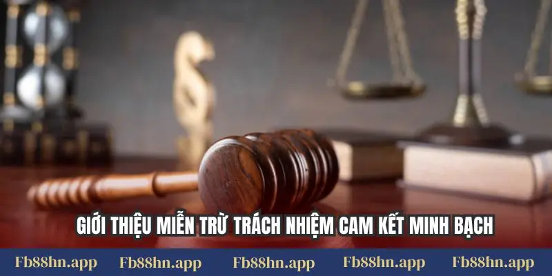 Miễn Trừ Trách Nhiệm 1 Giới thiệu miễn trừ trách nhiệm cam kết minh bạch