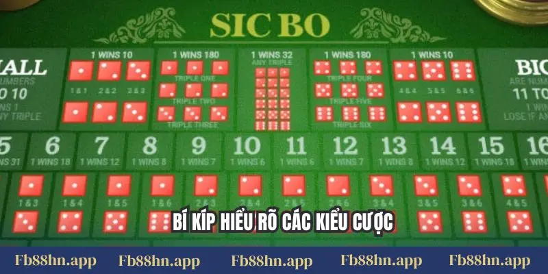 Bí kíp hiểu rõ các kiểu cược